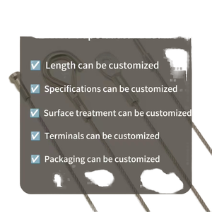 Harga pabrik tali perancah kawat baja tahan karat mengangkat kabel Slings standar ANSI kedua sisi Loop-Carabiner dilapisi pemotongan - Product Image 2