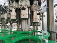 Équipement de ligne de production de boissons carbonatées 1000BPH 2000BPH étanche à la vente chaude utilisé Applicable pour le liquide de riz 500ml