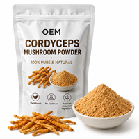 Poudre d'extrait de champignon Cordyceps Militaris naturel, qualité alimentaire, vente en gros, en vrac, marque privée, approvisionnement direct usine