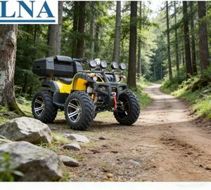 LNA en stock <span class=keywords><strong>Quad</strong></span> <span class=keywords><strong>Adulte</strong></span> Essence 300cc <span class=keywords><strong>Prix</strong></span> pour conteneur Prêt à la location - Product Image 1