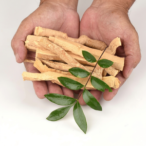 BEST SELLER Tranches de Tongkat Ali séchées naturelles pour la relaxation et l'énergie - Product Image 1