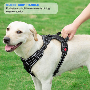 SinSky No Pull Chien Harnais Gilet Sport Formation Chien Harnais Ensemble Rembourré Respirant Maille Réfléchissant Pet Chien Collier <span class=keywords><strong>Laisse</strong></span> Harnais - Product Image 4
