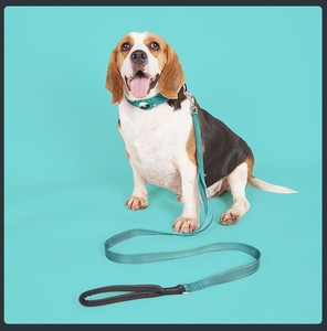 Collar de Adiestramiento para Perros Reflectante para Exteriores, Collar de Protección para Mascotas con Rastreador GPS de Nailon Antipérdida y Antirrotación - Product Image 5