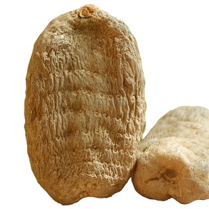 Jilin de qualité supérieure authentique frais Gastrodia Elata rhizomes séchés disponibles pour la vente en gros - Product Image 3