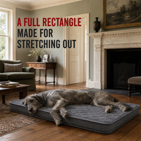 Matelas orthopédique pour chien, rectangulaire, gris, matelassé, grand lit de sol pour les chiens qui aiment étirer leurs membres dans les maisons ouvertes
