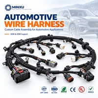Harnais de câblage automobile personnalisé IATF16949, OEM ODM, assemblage de câbles tout-en-un, terminaux JST/TE/Molex/HRS/JAE/HARTing, usine