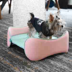 Camas de Lujo Premium para Mascotas, Perros y Gatos, Diseño Moderno Elevado, Cama Ortopédica de Alta Calidad Personalizada - Product Image 1