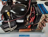 Petite unité de condensation R134a 24V/12V DC unité de condensation de compresseur BD35HC pour unité de condensation de réfrigérateurs de voiture