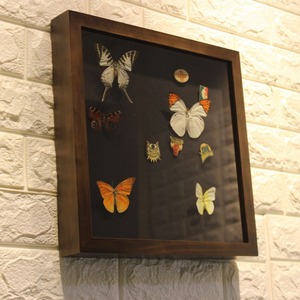 High Quality 10*10 3D Deep Black Velvet Back Butterfly Taxidermy <b>Wooden</b> Shadow Box Photo <b>Frame</b> - Product Image 2
