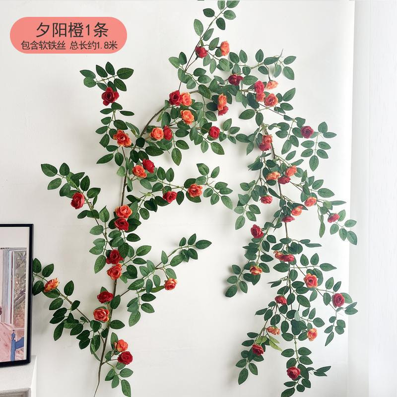 เถาวัลย์กุหลาบออคส์บูร์ก - สีส้มแดง