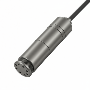 เซ็นเซอร์วัดระดับน้ำแบบจุ่มใต้น้ำ 4-20mA ทำจากสแตนเลส ราคาประหยัด - Product Image 3