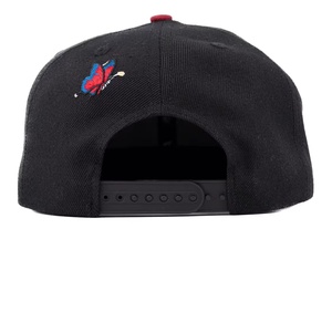 TCAP China Hat Custom 6panel 3D Sublimation <b>Cap</b> Hat Snapback Hats for <b>Man</b> Basketball - Product Image 5