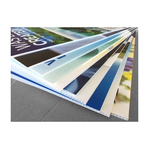 High Quality Customize Polypropylene Hollow Sheet Wantong Board Pp/Pe Corrugated Box Esd Pp Box Pp Plate Sheet