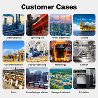 BOSEAN CE ATEX Approved Intelligent Hydrogen Sulfide Carbon Dioxide Meter Fixed Gas Detector Display IP66 Protection Industrial