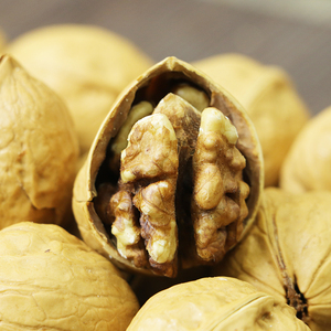 Top Grade Organic Nozes Caju Peanuts & Nut Shells Do Vietnã Fresh Raw Amber Snacks em Embalagem a Granel para Snacking