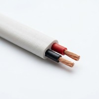 BVVB Doppeladerkabel 2 AWG 300V Flachkupferleiter PVC-Isoliert PVC-Ummantelung Elektrokabel IEC Hausinstallationskabel für den Haushalt
