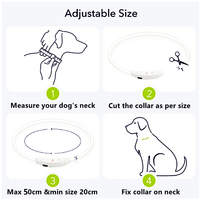 Collier électronique LED moderne de luxe en plastique solide pour chien et chat, réglable, avec lumières anti-perte, lumineux pour la sécurité nocturne, fermeture auto-agrippante