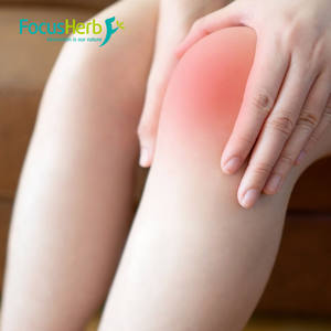 Extracto de Manzanilla FocusHerb, Polvo de Apigenina CAS 520-36-5, Apigenina Liposomal al 50% - Product Image 3