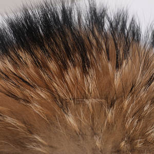 Sombrero de <span class=keywords><strong>aviador</strong></span> de piel de mapache <span class=keywords><strong>ruso</strong></span> de alta calidad para adultos, gorras deportivas cálidas de invierno con orejeras, diseño femenino liso para fiestas - Product Image 6