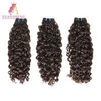 Offre Spéciale : Lots de Cheveux Bouclés Cambodgiens Remy, Alignés dans le Sens de la Cuticule, Double Trame Faite à la Machine, Cheveux Humains Vierges Bruts, 100g
