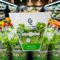 Sacs à légumes trapézoïdaux en CPP imprimés sur mesure avec trous de ventilation, manchon d'emballage conique pour laitues, fabricant