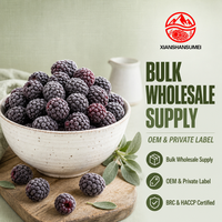 IQF Diepvries Hele Zwarte Bessen voor Smoothie Bowl, Bakkerij Jamproductie, Ongezoete Zwarte Bessen, 10kg