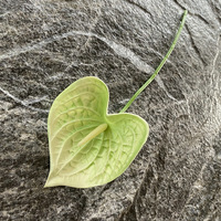 Fleurs artificielles en anthurium tropical bleu, simulation de plante, en colle souple, pour décoration de mariage, de remise de diplôme et de maison, vente en gros