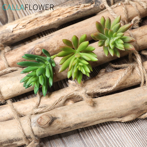 Modalità di Succulente artificiale <span class=keywords><strong>Mini</strong></span> semi di Loto <span class=keywords><strong>Piante</strong></span> Succulente/Succulente Planter - Product Image 5