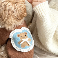 Adorable vêtement en tricot pour animaux de compagnie, vêtements pour chats, chandail de Noël pour chiens
