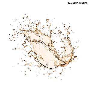 Brumisateur automatique, 60g, OEM/ODM, pour l'intérieur, effet bronzage, eau chaude-froide - Product Image 2