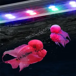 Zaohetian Full Spectrum cheap led aquarium light 19cm 26cm 36cm Goldfish Parrot Fish Tank Light submersible led aquarium light