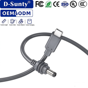Câble d'alimentation USB-C vers DC 100W PD, cordon de charge 20V5A, 8 conducteurs en cuivre nu 24AWG 26AWG, PVC étanche gris, 2M 3M 5M - Product Image 1