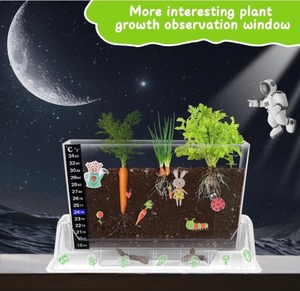 Hot bán trẻ em khoa học Kit vườn hạt giống trồng gốc Viewer Kit cho Nhà khám phá nhà máy phát triển - Product Image 2