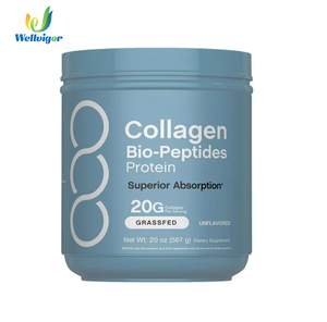 Poudre de collagène protéique bio-peptides à vente chaude, sans saveur, pour la santé de la peau, des cheveux et des ongles, 567g - Product Image 1