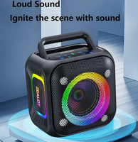 Enceinte portable en métal pour l'extérieur avec lumière RGB, batterie longue durée 6000 mAh, son stéréo HiFi sans fil, idéale pour les fêtes, la randonnée et le camping