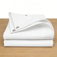 Bâche en PE laminé sur mesure, imperméable avec œillets, protection solaire pour le transport extérieur