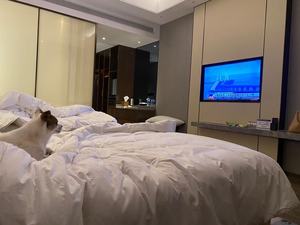 Televisor Inteligente QLED de 32 Pulgadas para Apartamento, 4K HDR, WiFi, Soporte de Pared, Televisor Inteligente Pequeño de 32 Pulgadas - Product Image 5