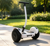 Düşük Fiyat Garantili Kaliteli Kendinden Dengeleyici Scooter Hoverboard Smart 10 Almacen Meksika 10 İnç İki Tekerlekli Hoverboard 18 km