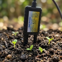 Sensor Digital 2 en 1 de pH y Temperatura del Suelo RS485 LORA LORAWAN WIFI GPRS 4G para Agricultura Inteligente