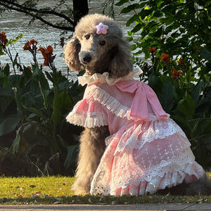 Vestido de Princesa Color Rosa Caramelo para <span class=keywords><strong>Perros</strong></span> Medianos/Grandes, Modelo 6546, para Todas las Estaciones, Marca Big Dog, para Golden Retriever y Labrador - Product Image 4