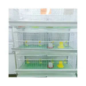 H type 4 tiers 2 doors 80 birds broiler chicken cage for broilers breeding and drinking equipment