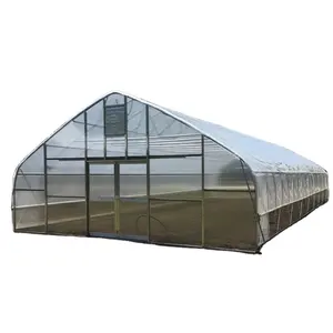 Agricultural Greenhouses farming snail tunnel Greenhouse plastic film Cultivation Shed Skeleton tomato greenhouse for sale