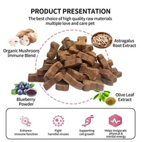 Complément alimentaire pour chiens OEM ODM, riche en protéines, sans céréales, aux champignons, sous forme de bouchées molles, avec mélange de champignons, d'ashwagandha et de probiotiques