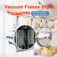 Machine de séchage par lyophilisation sous vide pour aliments liquides pour animaux de compagnie à base de fruits et légumes surgelés au chocolat et aux fraises