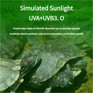 Fournisseurs d'aquarium <span class=keywords><strong>Support</strong></span> de <span class=keywords><strong>lampe</strong></span> de bain de soleil <span class=keywords><strong>Tortue</strong></span> Clip de <span class=keywords><strong>lampe</strong></span> <span class=keywords><strong>chauffante</strong></span> UVA <span class=keywords><strong>Support</strong></span> de <span class=keywords><strong>lampe</strong></span> universel Clip LED UVB Accessoires de réglage - Product Image 2