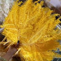 Daun Pakis Dicranopteris Asli Awetan Grosir Satu Tempat, Daun Pakis Alami, Bunga Kering Tanaman untuk Dekorasi Pernikahan