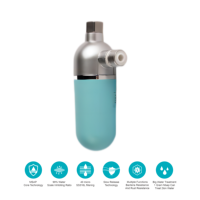 Filtre à charbon actif anti-calcaire de haute qualité Brisk pour éliminer le chlore et protéger les machines à laver et autres équipements