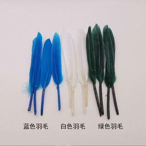 Plumes Naturelles, Plumes d'Oie Teintées, Grandes Plumes Rigides pour la Décoration Intérieure, Accessoires - Product Image 1