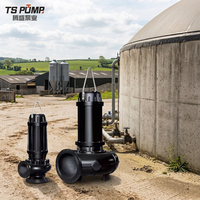 Pompe à eaux usées électrique professionnelle WQ en acier inoxydable, anti-colmatage, à grand débit, avec coupeur vertical pour le refoulement de l'eau