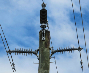 25kv 25kv 35KV Polymer Tie loại hàng đầu dòng bài Silicon cách điện - Product Image 6